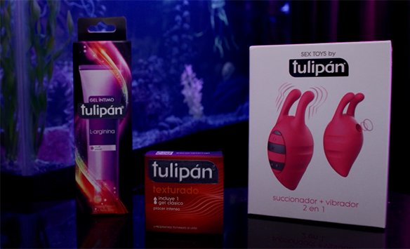 tulipan – Frame 3